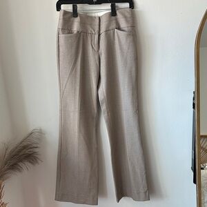 Express Light Gray Editor Trousers